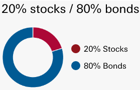 80 20 stocks bonds