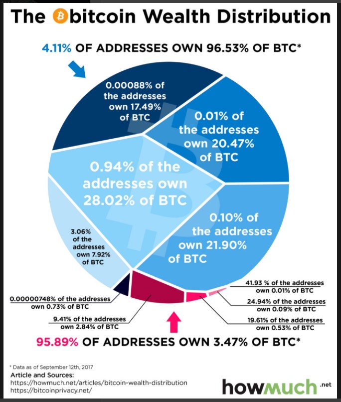 Bitcoin wealth distribution 