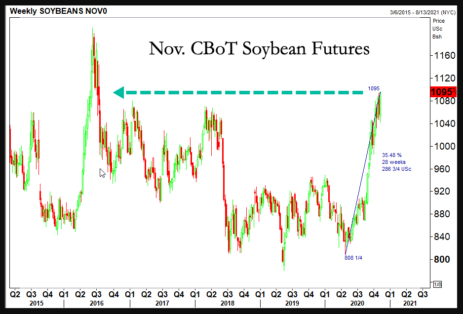 November CBoT Soybean Futures 